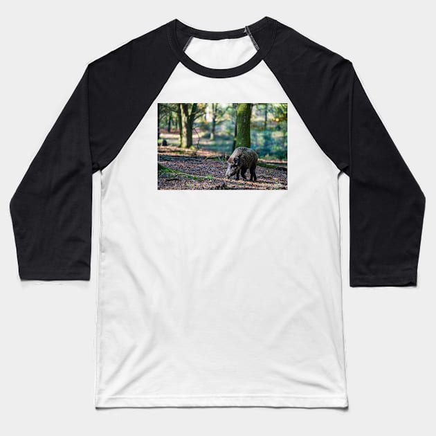 Dutch Boar Baseball T-Shirt by JMKphotos